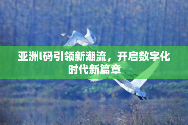 亚洲l码引领新潮流，开启数字化时代新篇章