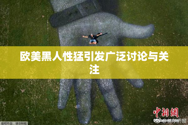 欧美黑人性猛引发广泛讨论与关注