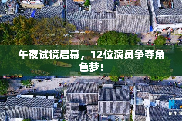 午夜试镜启幕，12位演员争夺角色梦！