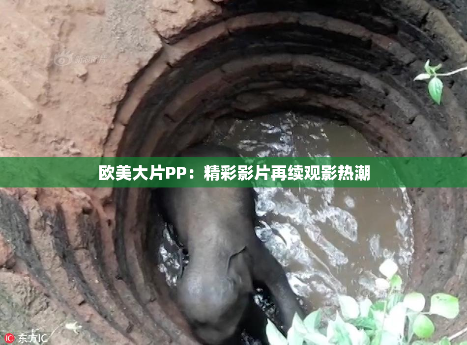 欧美大片PP：精彩影片再续观影热潮