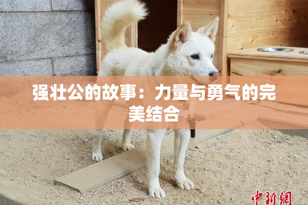 强壮公的故事：力量与勇气的完美结合