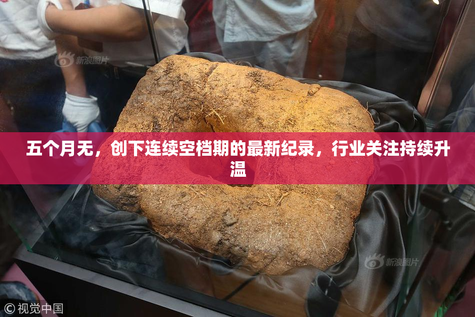 五个月无，创下连续空档期的最新纪录，行业关注持续升温
