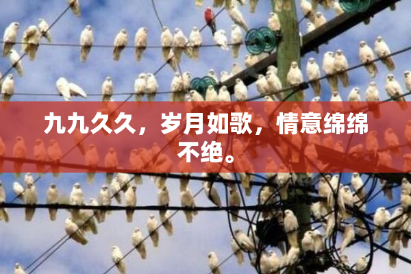 九九久久，岁月如歌，情意绵绵不绝。