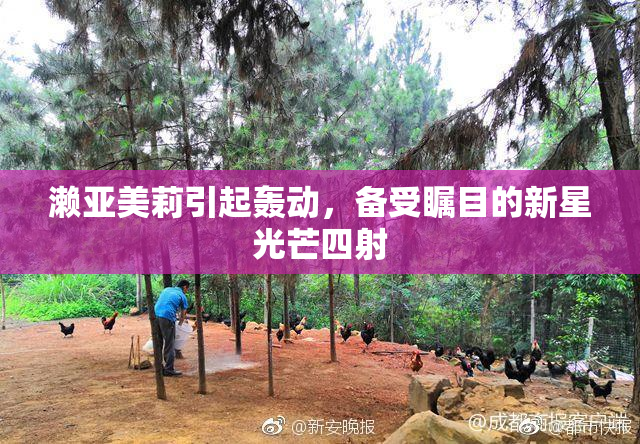 濑亚美莉引起轰动，备受瞩目的新星光芒四射
