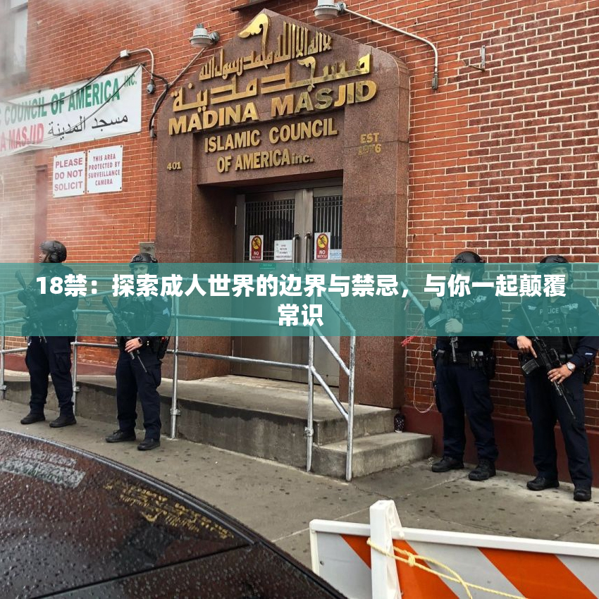 18禁：探索成人世界的边界与禁忌，与你一起颠覆常识