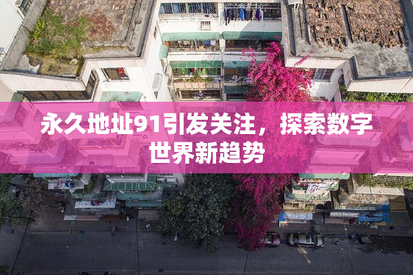 永久地址91引发关注，探索数字世界新趋势