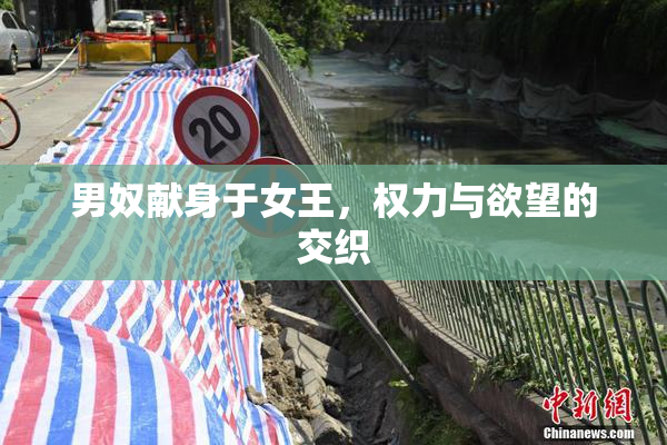 男奴献身于女王，权力与欲望的交织