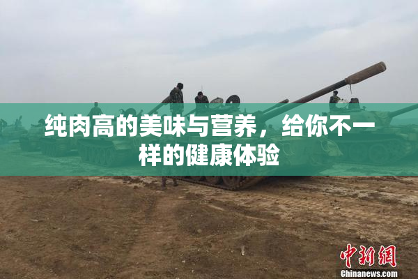 纯肉高的美味与营养，给你不一样的健康体验