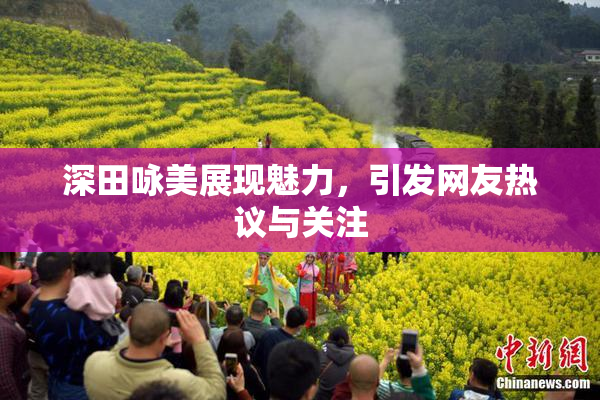 深田咏美展现魅力，引发网友热议与关注