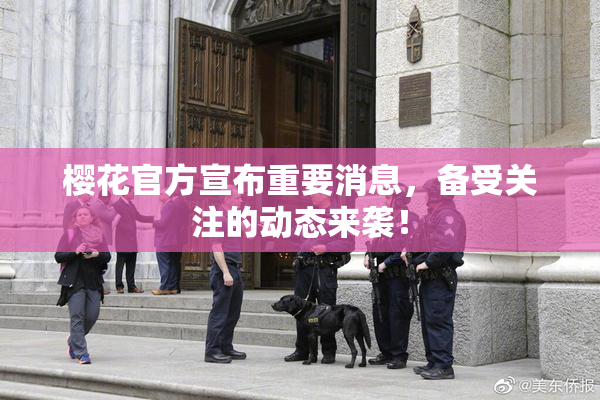 樱花官方宣布重要消息，备受关注的动态来袭！