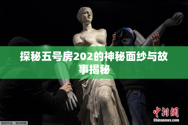 探秘五号房202的神秘面纱与故事揭秘