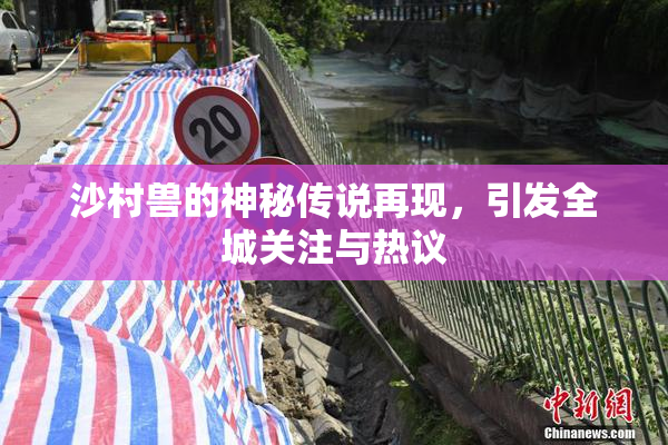 沙村兽的神秘传说再现，引发全城关注与热议