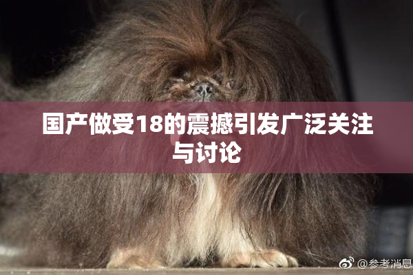 国产做受18的震撼引发广泛关注与讨论