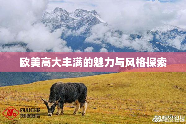 欧美高大丰满的魅力与风格探索