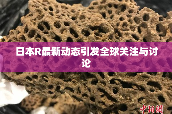 日本R最新动态引发全球关注与讨论