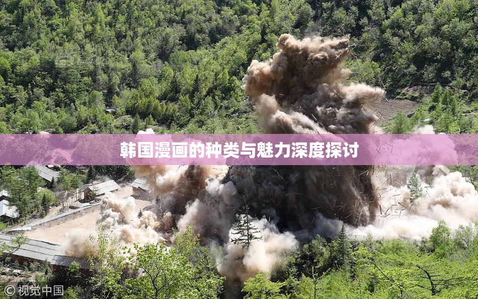 韩国漫画的种类与魅力深度探讨