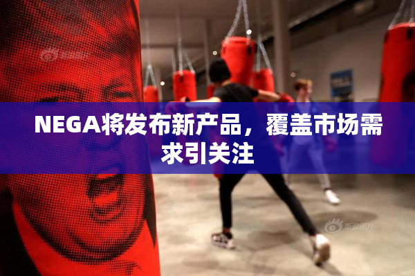 NEGA将发布新产品，覆盖市场需求引关注