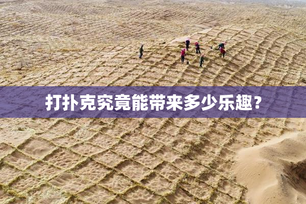 打扑克究竟能带来多少乐趣？