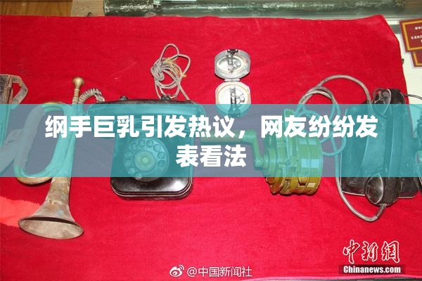 纲手巨乳引发热议，网友纷纷发表看法
