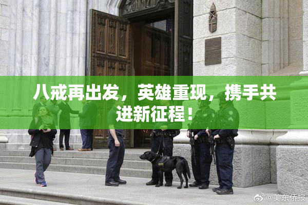 八戒再出发，英雄重现，携手共进新征程！