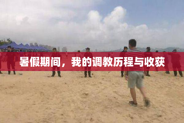 暑假期间，我的调教历程与收获