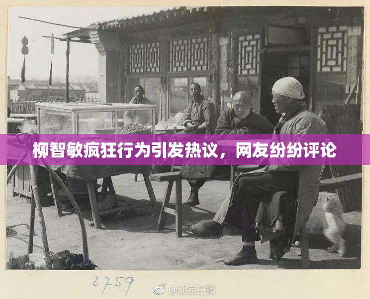 柳智敏疯狂行为引发热议，网友纷纷评论