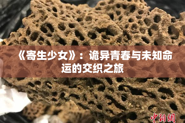《寄生少女》：诡异青春与未知命运的交织之旅