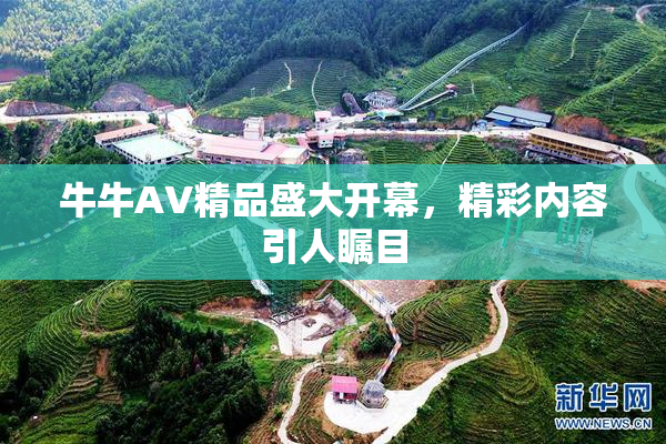 牛牛AV精品盛大开幕，精彩内容引人瞩目
