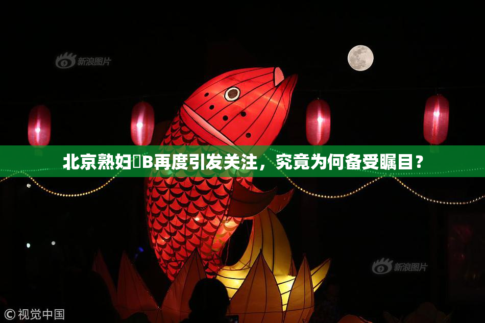 北京熟妇槡B再度引发关注，究竟为何备受瞩目？