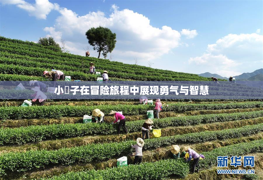 小峓子在冒险旅程中展现勇气与智慧
