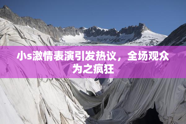 小s激情表演引发热议，全场观众为之疯狂