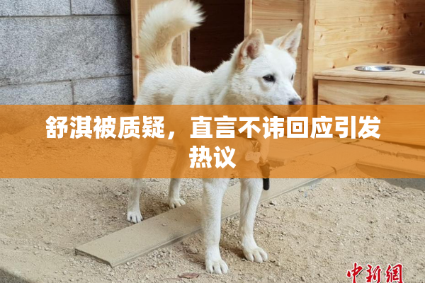 舒淇被质疑，直言不讳回应引发热议