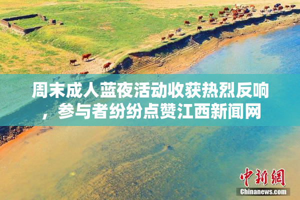 周末成人蓝夜活动收获热烈反响，参与者纷纷点赞江西新闻网
