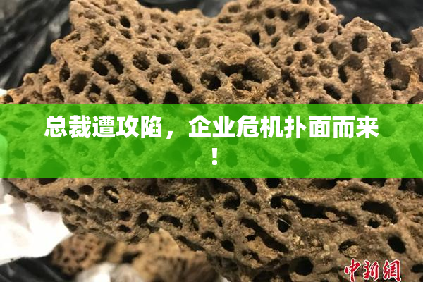 总裁遭攻陷，企业危机扑面而来！