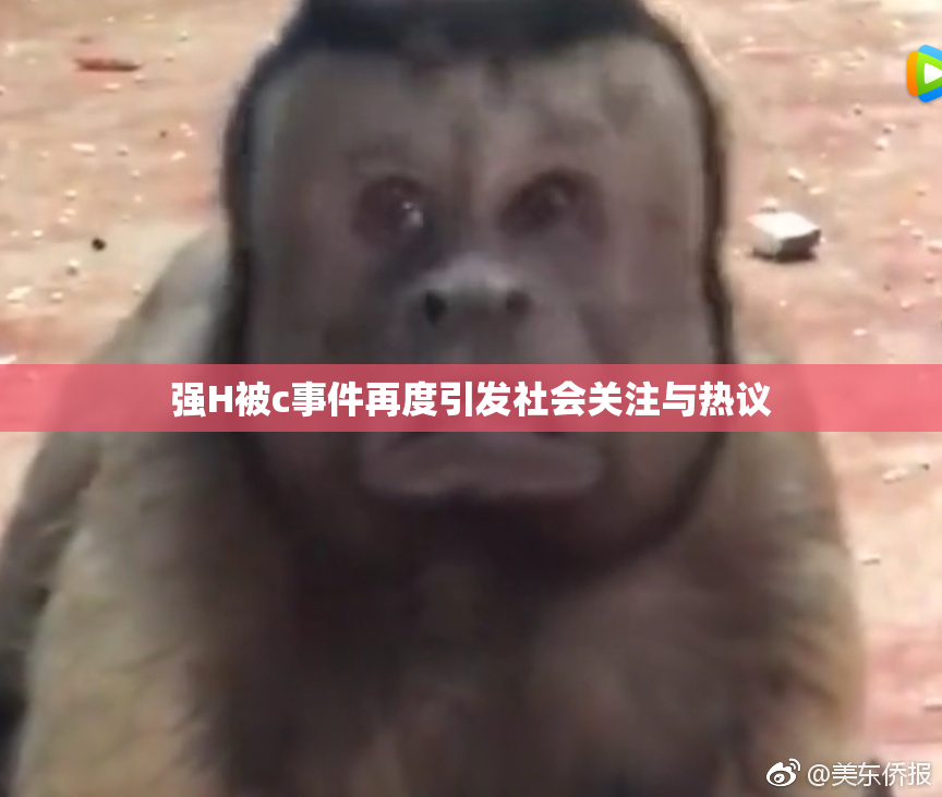 强H被c事件再度引发社会关注与热议