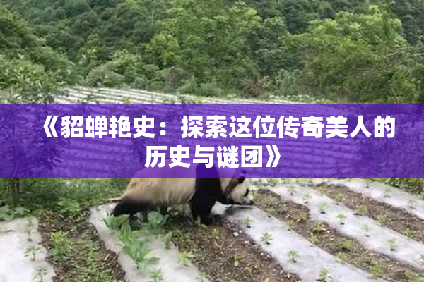 《貂蝉艳史：探索这位传奇美人的历史与谜团》