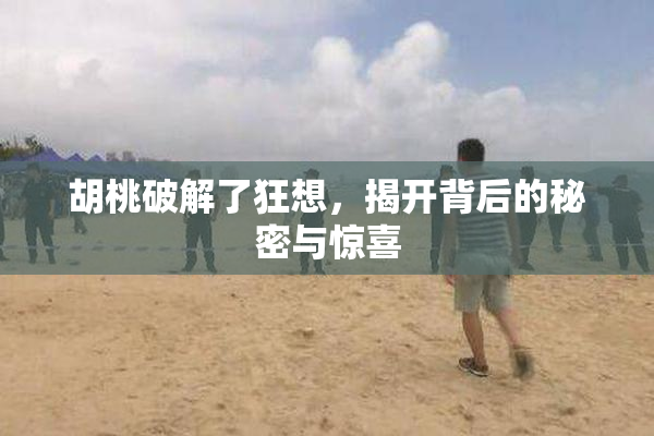 胡桃破解了狂想，揭开背后的秘密与惊喜