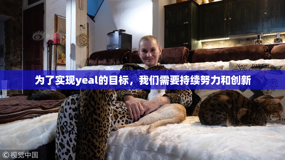 为了实现yeal的目标，我们需要持续努力和创新
