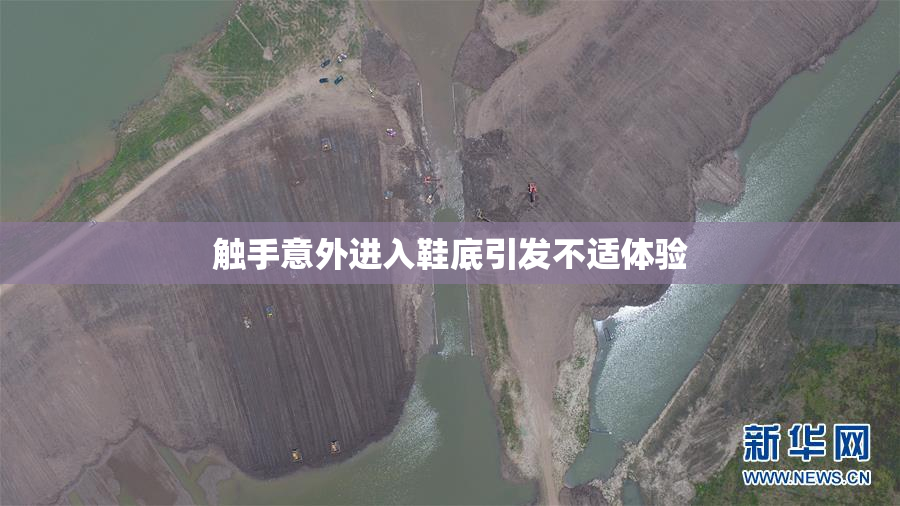 触手意外进入鞋底引发不适体验