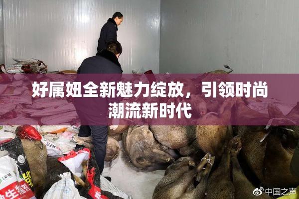 好属妞全新魅力绽放，引领时尚潮流新时代