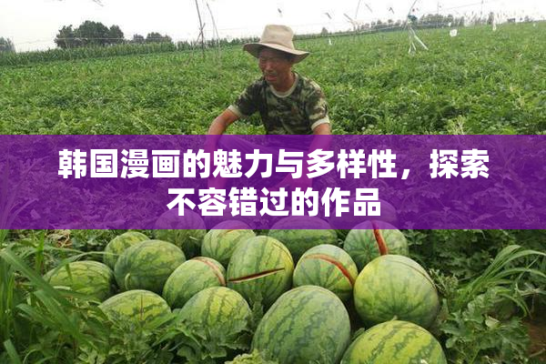 韩国漫画的魅力与多样性，探索不容错过的作品