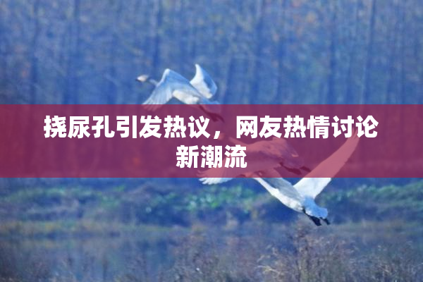 挠尿孔引发热议，网友热情讨论新潮流