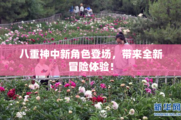 八重神中新角色登场，带来全新冒险体验！