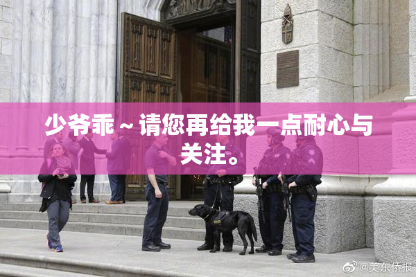 少爷乖～请您再给我一点耐心与关注。