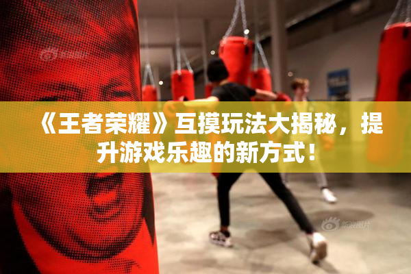 《王者荣耀》互摸玩法大揭秘，提升游戏乐趣的新方式！