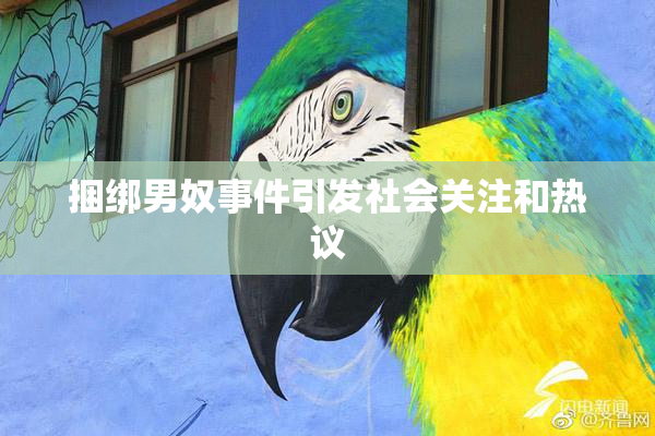 捆绑男奴事件引发社会关注和热议