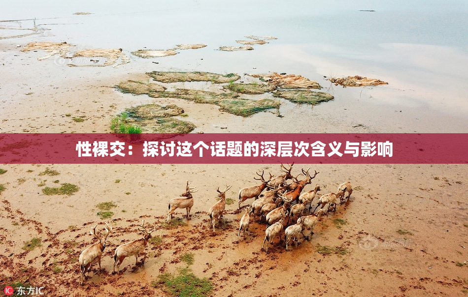 性裸交：探讨这个话题的深层次含义与影响