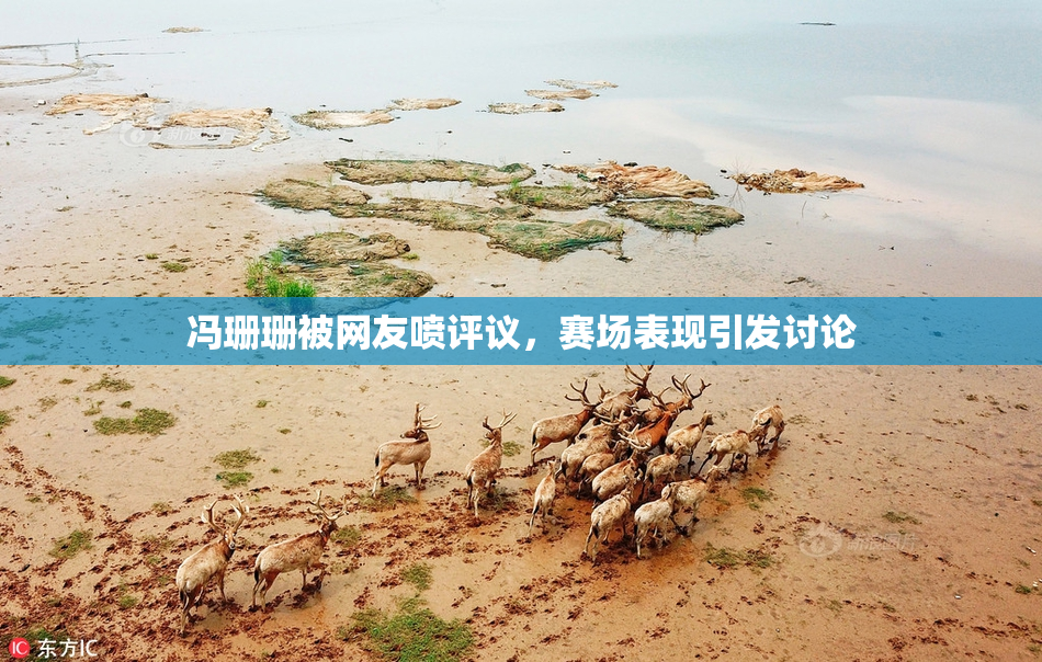 冯珊珊被网友喷评议，赛场表现引发讨论