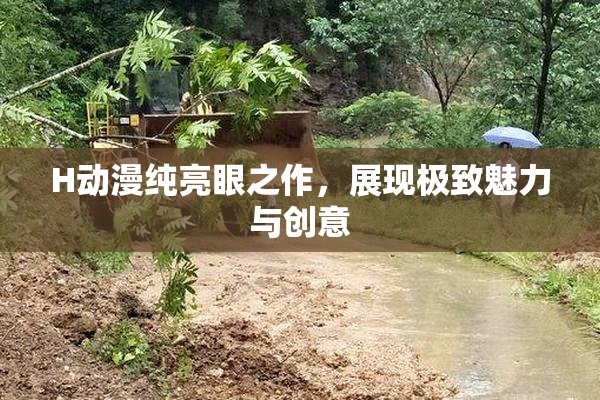 H动漫纯亮眼之作，展现极致魅力与创意