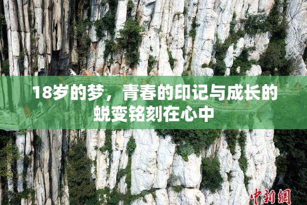 18岁的梦，青春的印记与成长的蜕变铭刻在心中